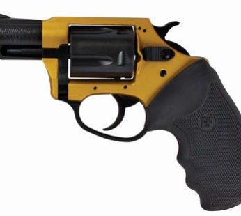 Charter Arms 53290 Undercoverette Gold & Black